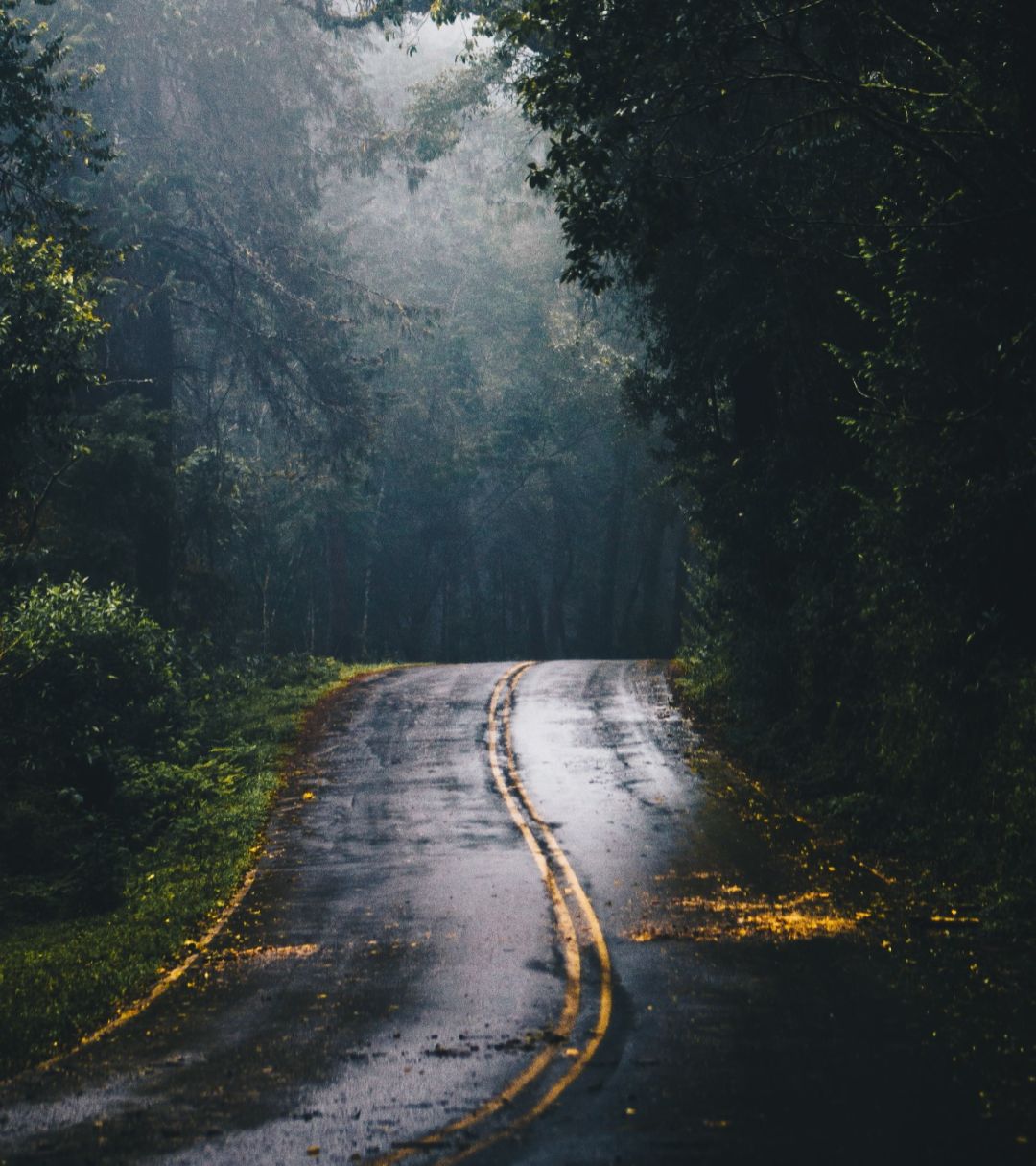 血色凶杀案,血色迷雾灵异事件