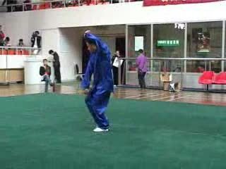 传统武术八极拳,传统八极拳比赛