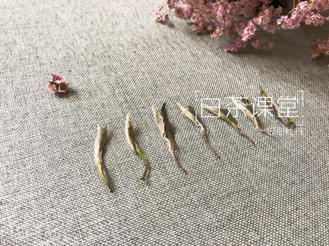 收藏白茶茶饼和散茶哪个更好,白茶散茶储存方法视频