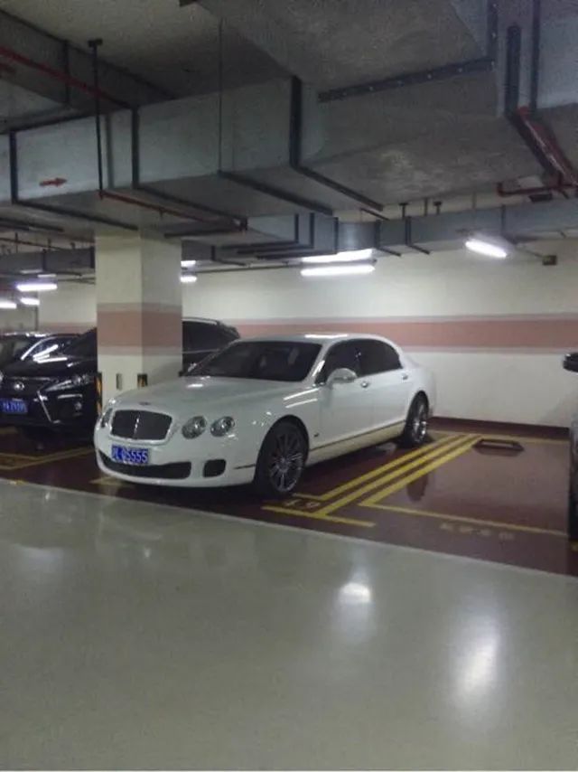 上海顶级豪车最多的小区，几千万的车都有，有几台都是同一个车主