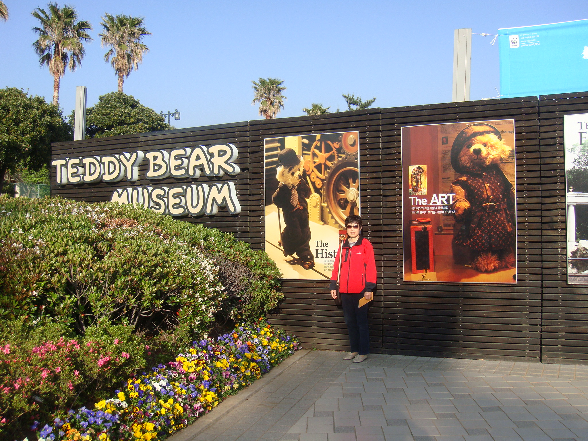 泰迪熊馆旅游攻略,泰迪熊博物馆济州岛旅行线