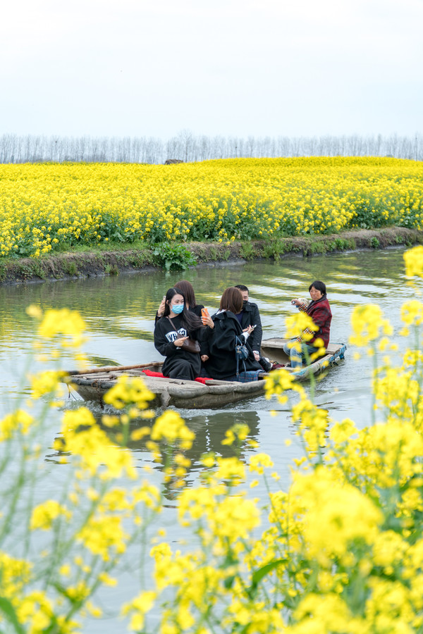 踏春赏花正当时，打卡千垛水上油菜花！玩转兴化景点美食全攻略