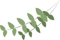 男主他总黑化推文,傻白甜黑化推文