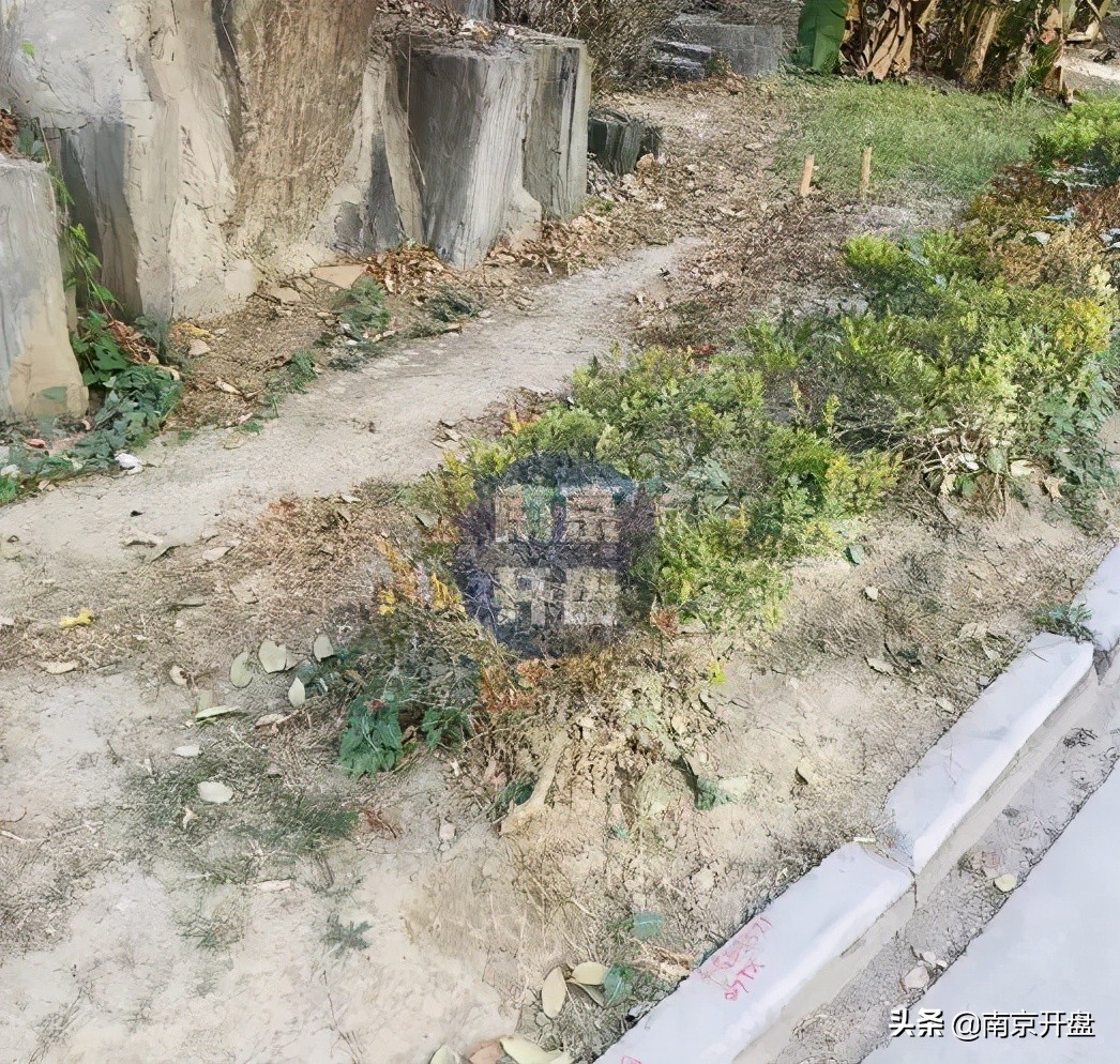 假山里住人！物业不作为，南京超级大盘终于要换物业了