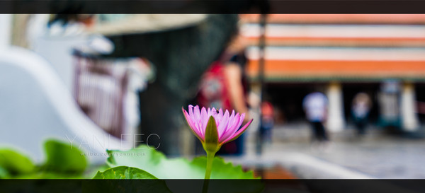 最新玩转泰国攻略,泰国旅游漫游