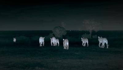 豆瓣netflix电影,bbc地球奇观纪录片