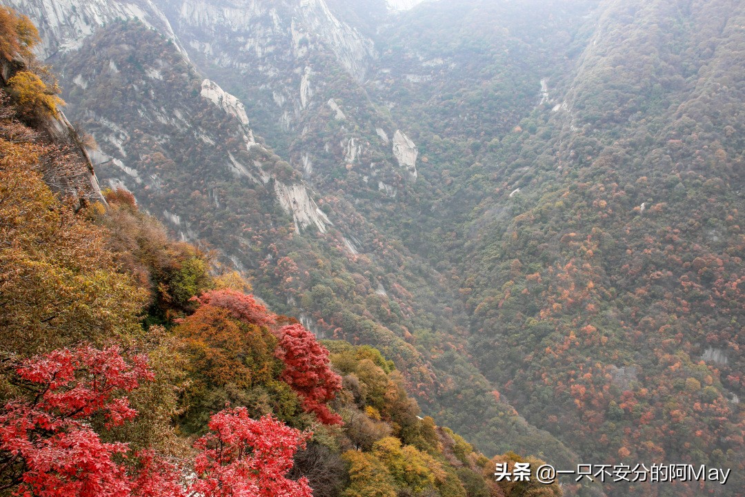为什么爬华山都是夜爬,华山自古一条道很有必要爬吗