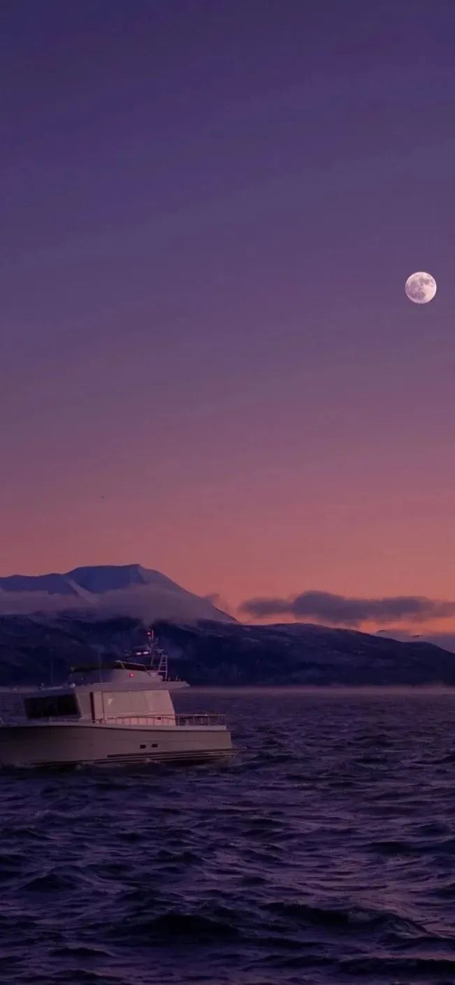 谷爱凌图片高清壁纸,周杰伦图片高清壁纸