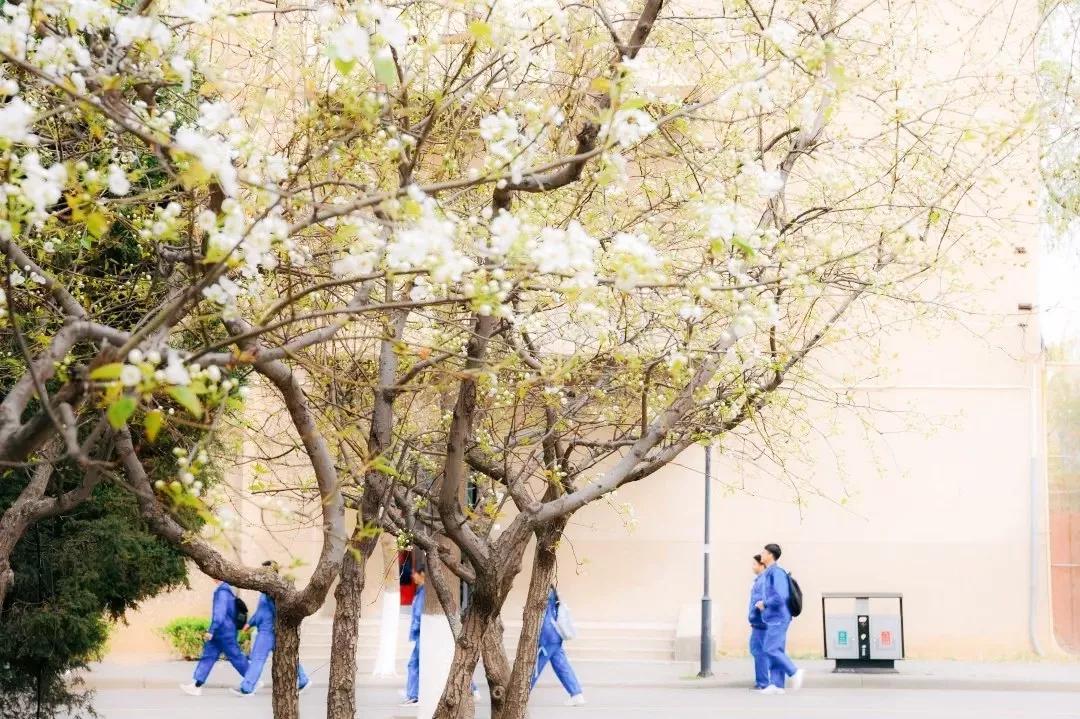 天津商业大学综合排名,天津商业大学真实排名