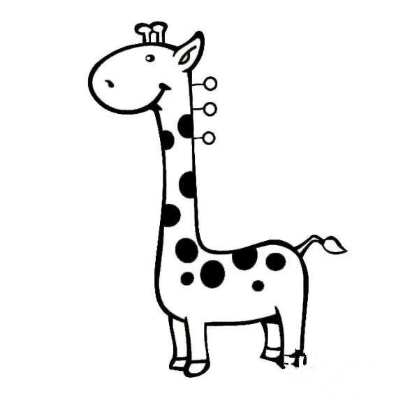 盘点动物会说话,盘点动物园里的山寨动物