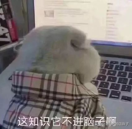 狠砸3万智商税却“坑了娃”：中国父母摔倒在起跑线，这都800回了