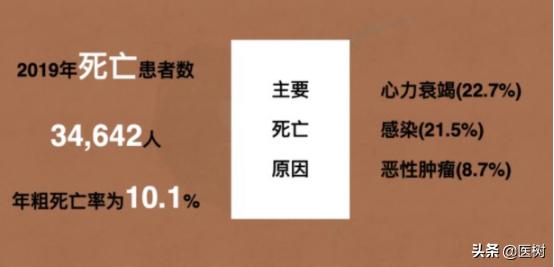 中国血液透析状况分析,血液透析领域世界排名