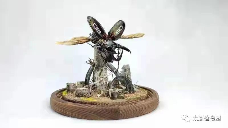 动植物园国庆游玩攻略,国庆节可以去的植物园