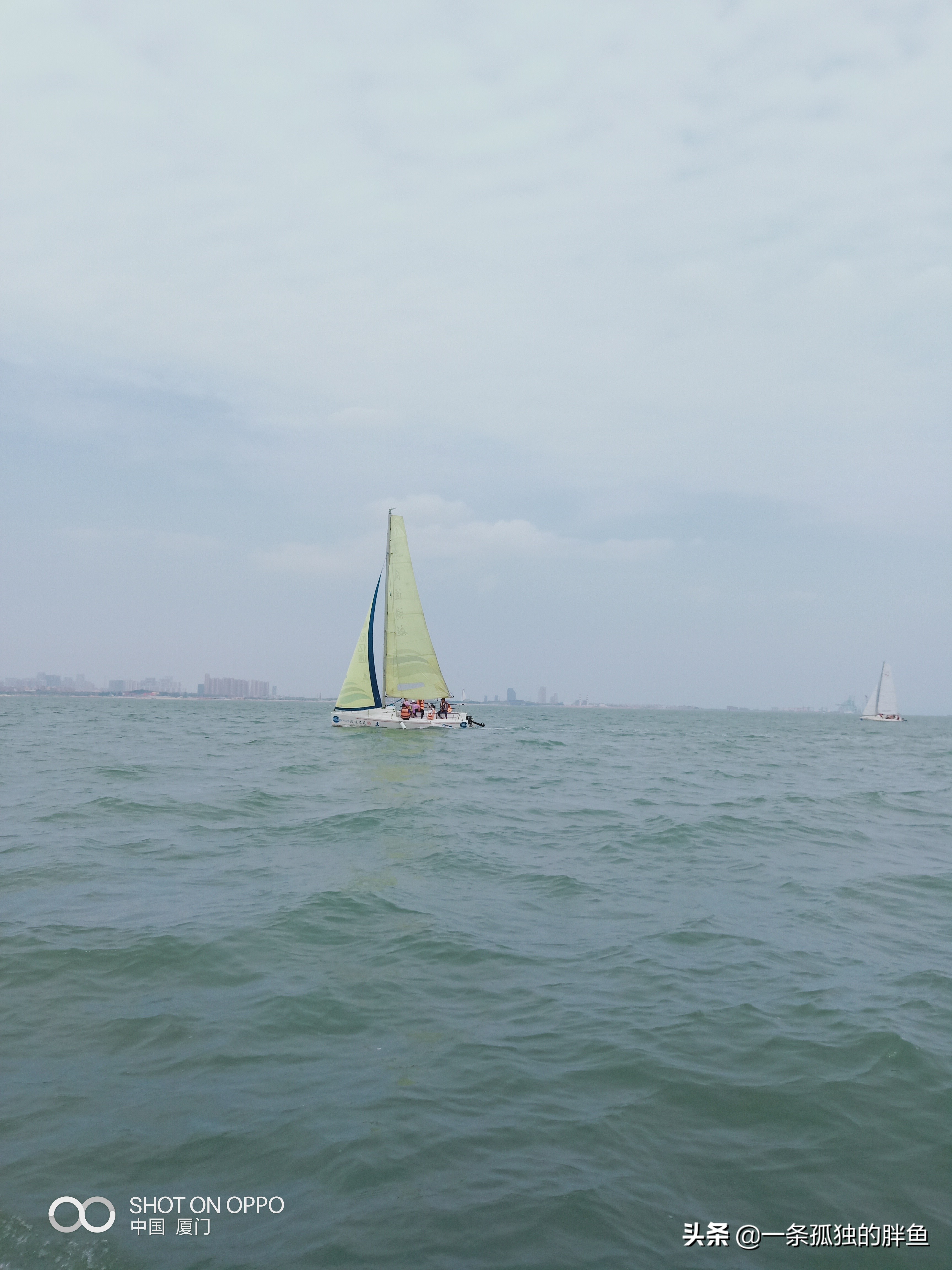 厦门旅游攻略4天三晚详细,厦门游玩攻略5天4晚图文