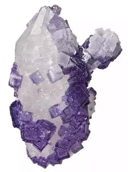 世界上令自己眸生情,见到后再也不爱别人的51个丽人