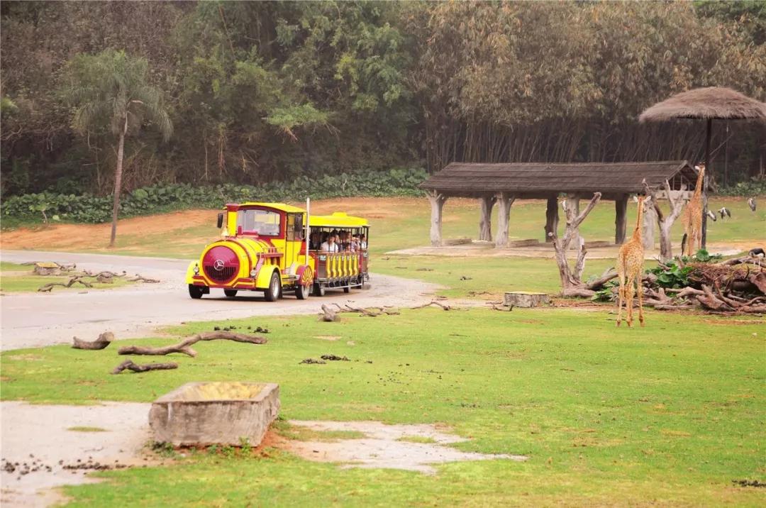 过年南方和北方的差异,北方人过年和南方人过年