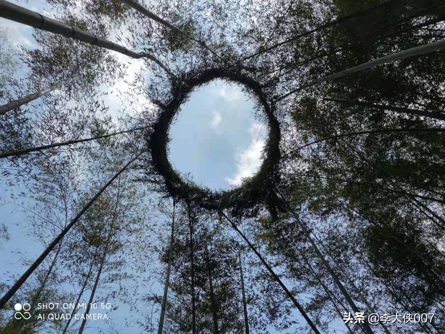 宜兴竹海游记,宜兴竹海攻略一日游自驾游