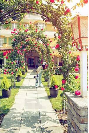 摄影技巧交流,摄影技巧学习博主