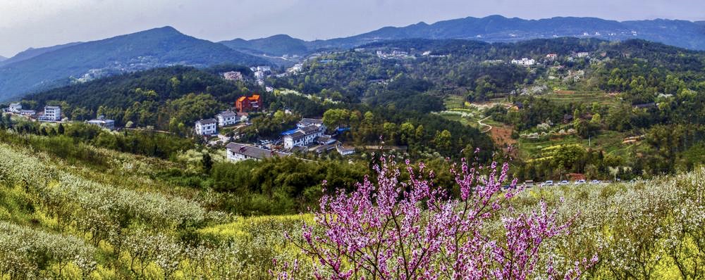 重庆落日下午茶推荐,重庆下午茶推荐观音桥