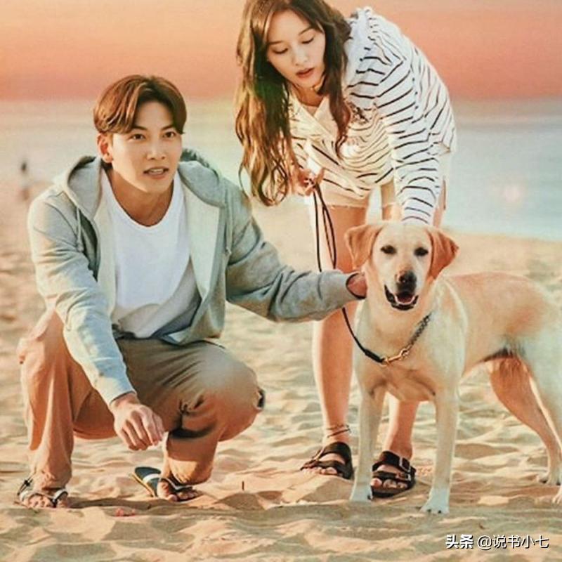 郑铉静李光洙,郑铉静