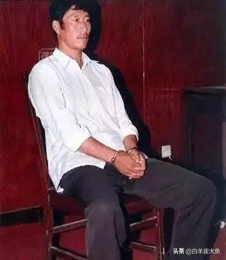 中国十大悍匪电视剧全集,新中国十大悍匪排行榜前十