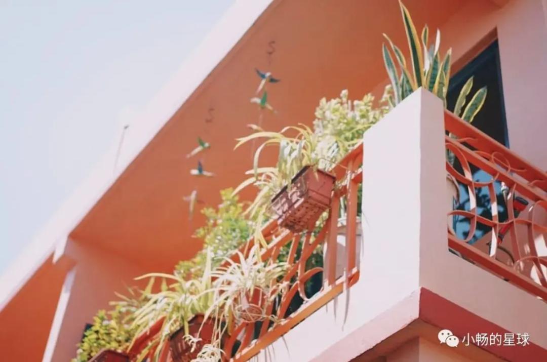 看完《喜宝》被气死，顶级富豪们最爱住的石澳道究竟是啥样？