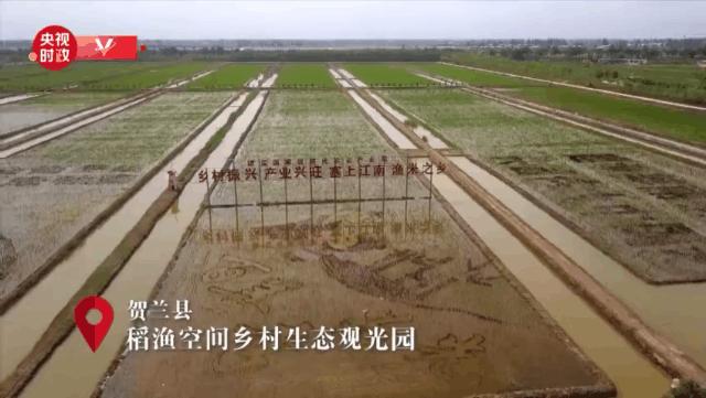 中国用了占世界多少的耕地,我国用占世界百分之几的耕地