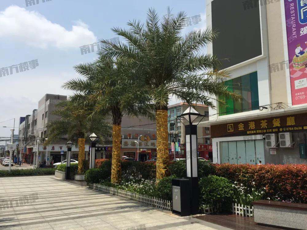 全程暴走!实探疯传的扩容临深区域凤岗+塘厦,到底值不值得买?