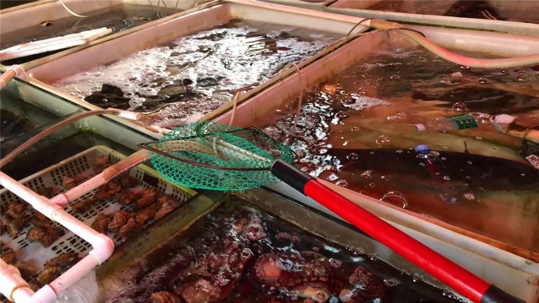 厦门10元店小商品最全批发市场,厦门最大的一级批发市场