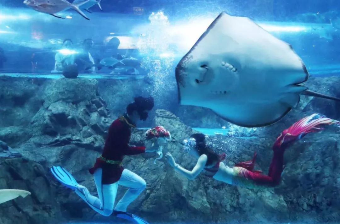 南京海底世界小朋友要票吗,南京海底世界99元一大一小套票