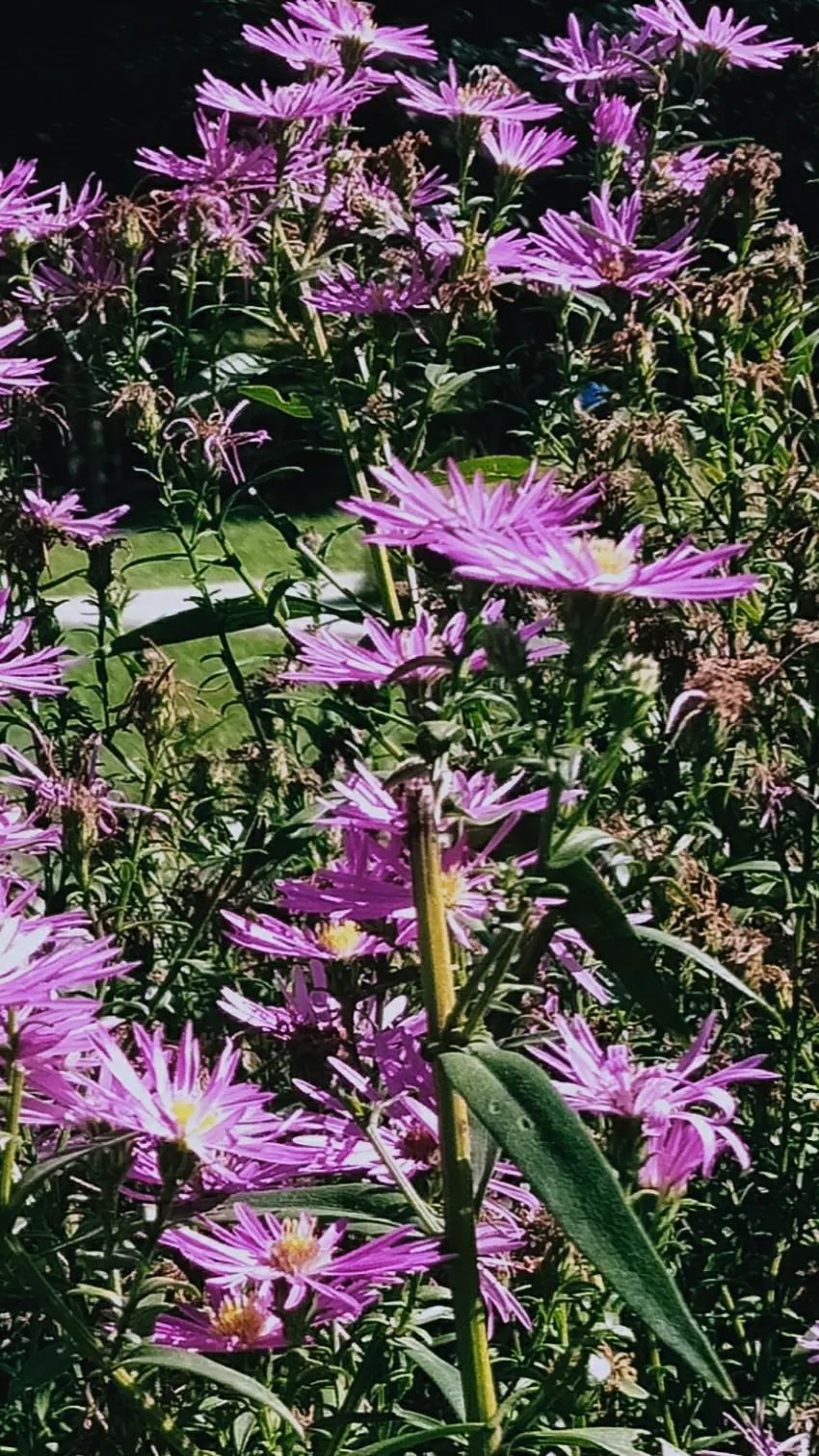 天坛公园内的科普园位置,天坛公园和国家自然博物馆