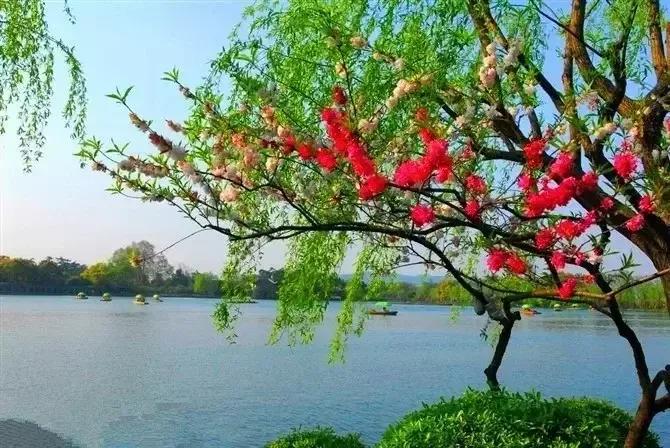 解囊相助,解囊相助下一句