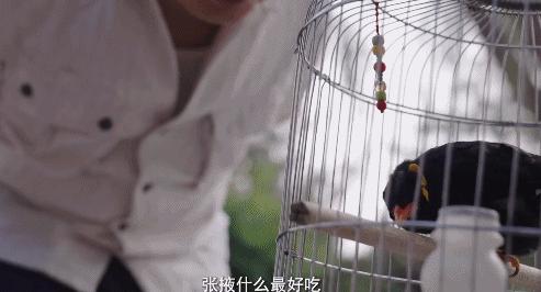 被央视表扬的b站up主,b站up主真实故事