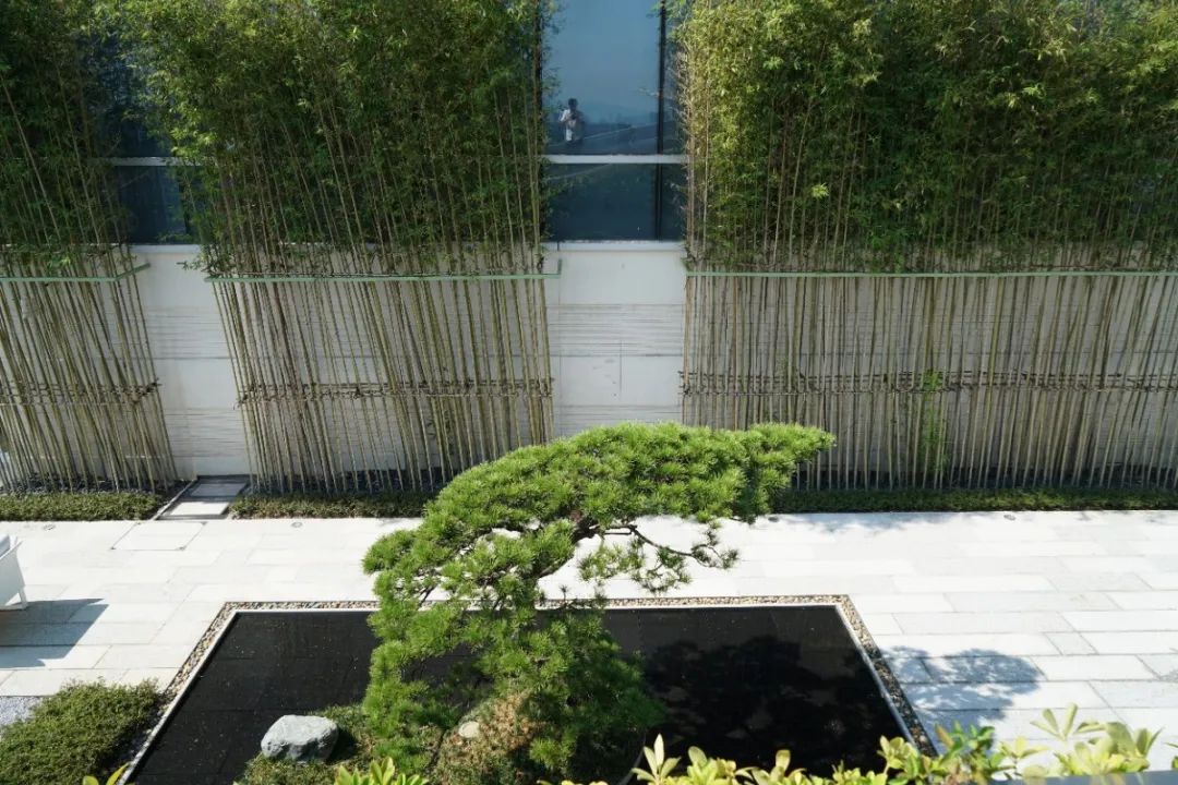 禅意景观中华文化,美学欣赏中国古典园林之美