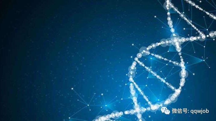 罗氏诊断招实习生零食酸奶每天送年会就是出国游