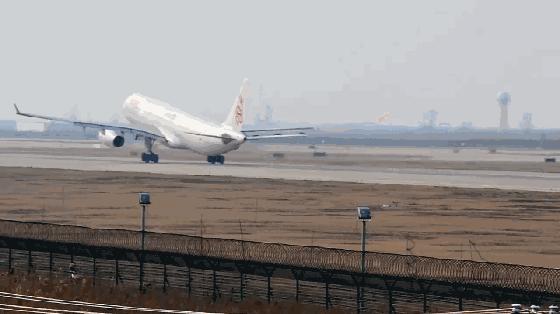 大兴机场全球最大单体机场,大兴国际机场机库