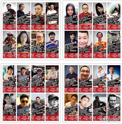 白茶市场深度分析及品牌战略思考(二)