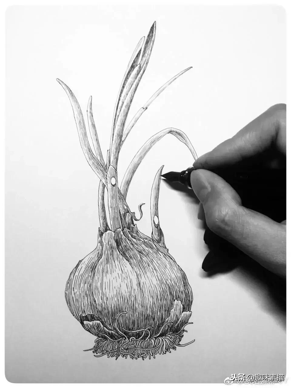 针管笔入门初学者画风景,针管笔教程