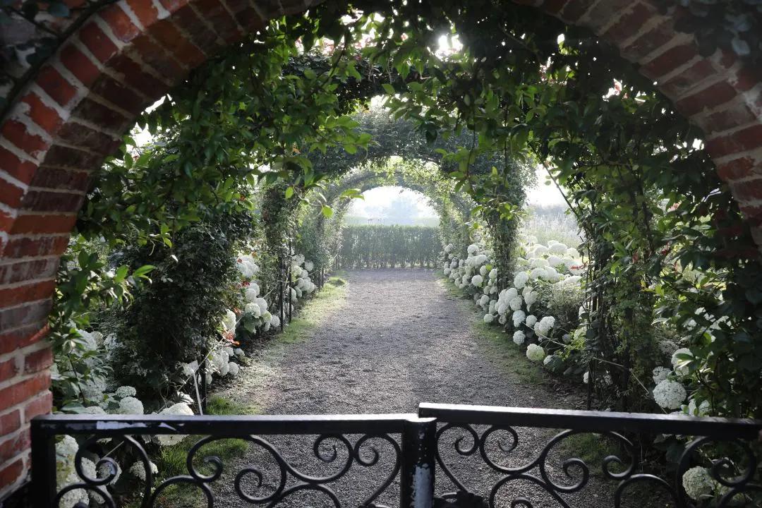 梦幻花园开园了！就在双流彭镇！免费的那种