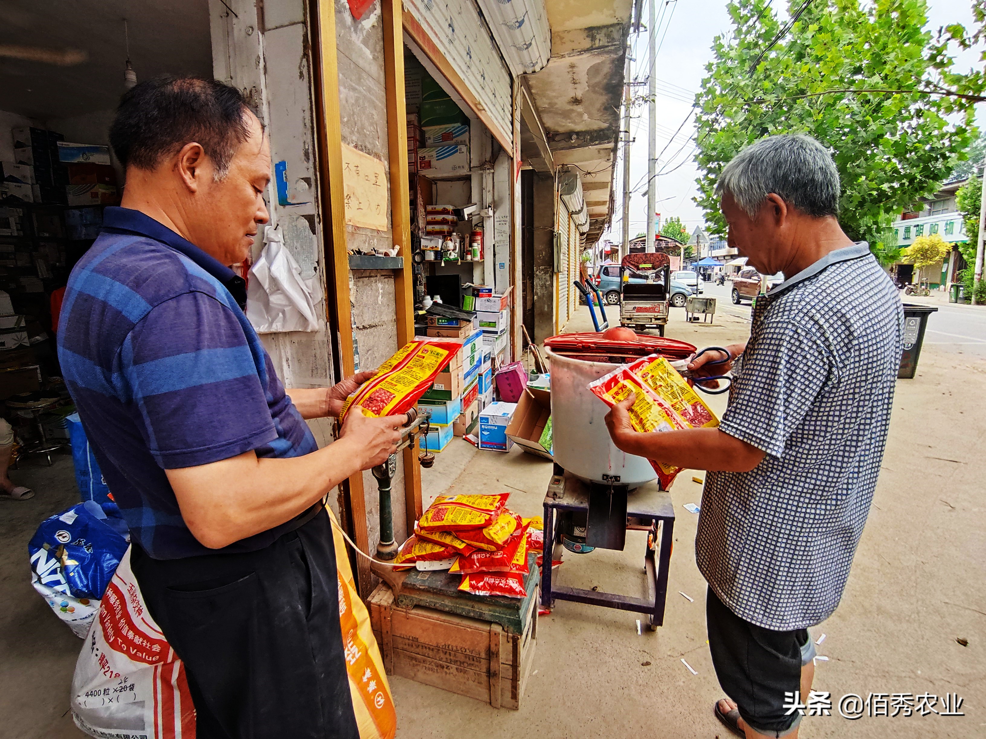 种玉米施哪种肥料不影响种子,农民种麦子玉米每亩挣多少钱