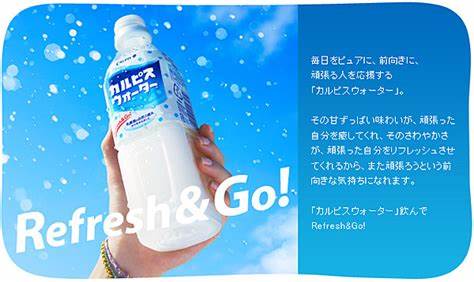 日本人乳酸菌饮料,日本人喝的酵素