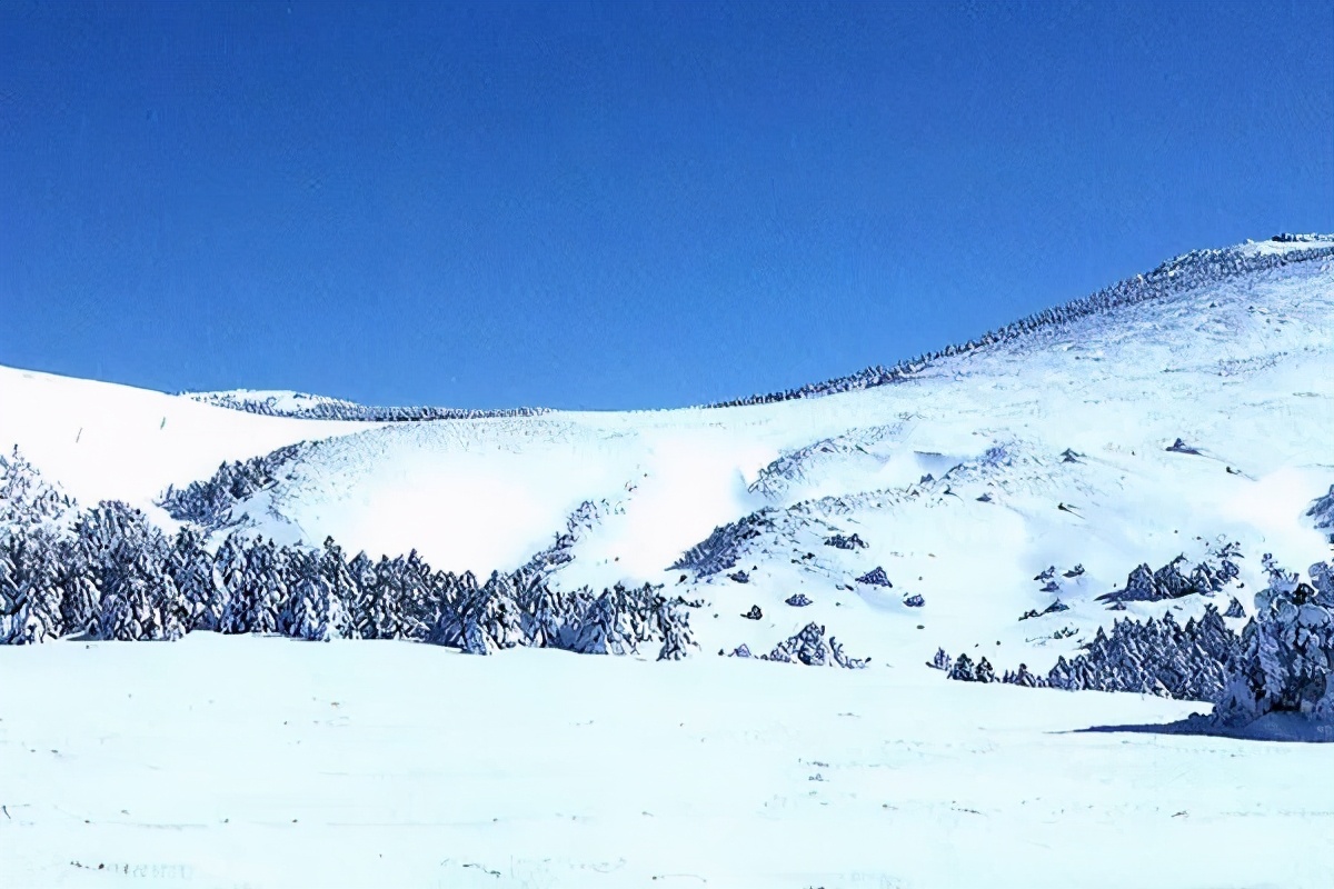汉拿山攻略,汉拿山登山路线