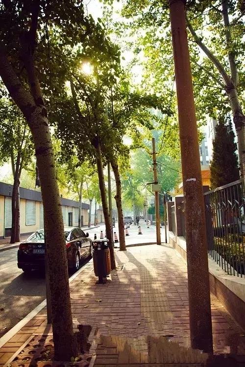 灞卞笀闄勪腑鍒嗘牎,鑿忔辰灞卞笀闄勪腑