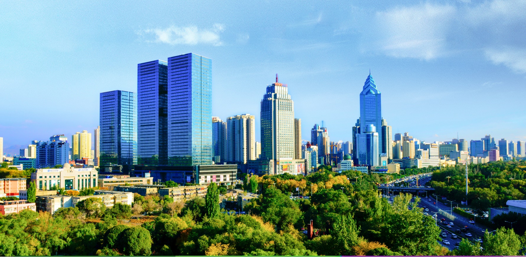 目前国内最大的新能源汽车公司,未来中国新能源汽车的三大巨头