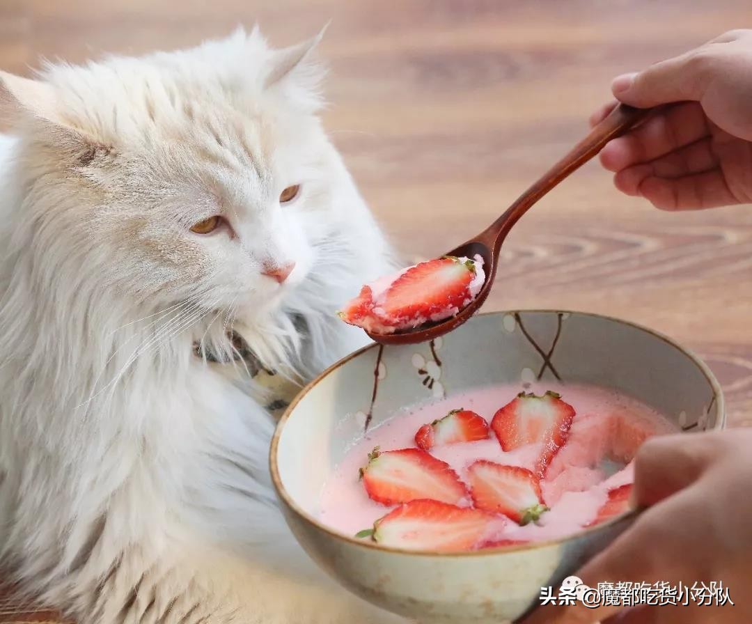 所有人合理饮食,最新吃饭指南来了