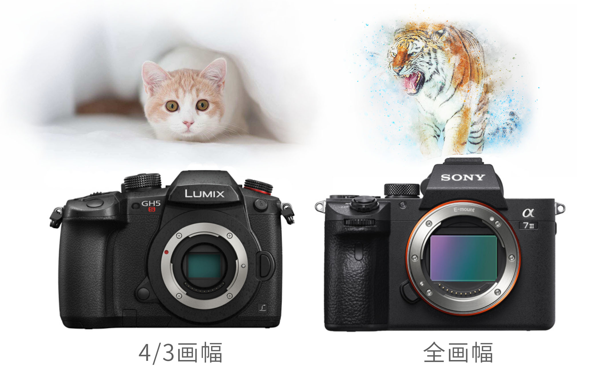 手机像素1亿加800万是什么意思,手机像素1亿与8000万有什么差距