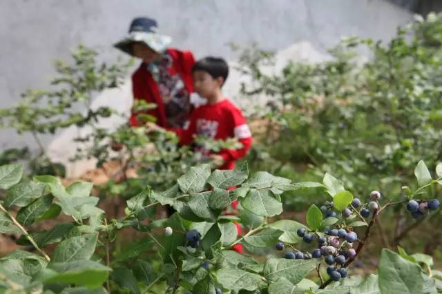 淄博周末旅游攻略自由行,淄博冬季旅游攻略