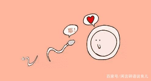 好孕攻略：排卵期的七大表现！