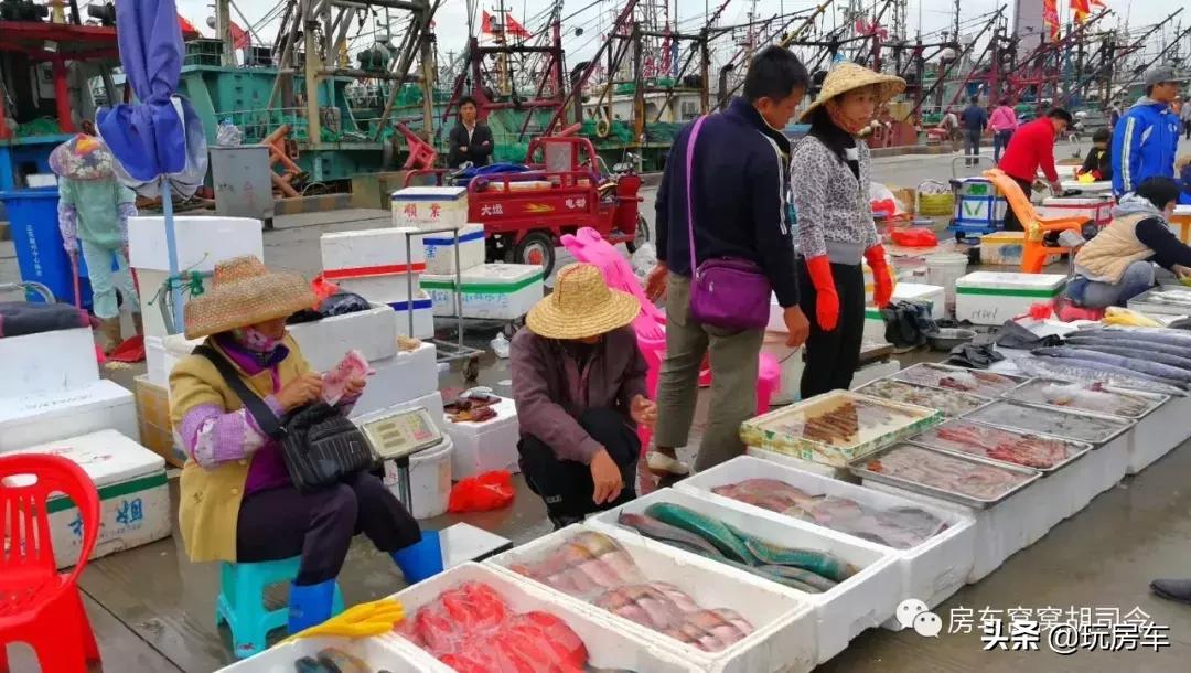 海南那么大，房车到底停哪里？纯干货分享海南三亚的窝窝