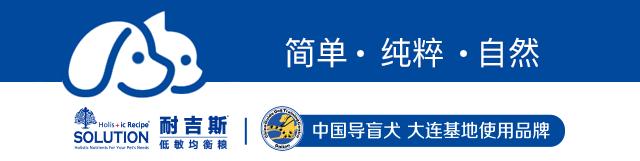 所有铲屎官，耐吉斯双11预售车来啦
